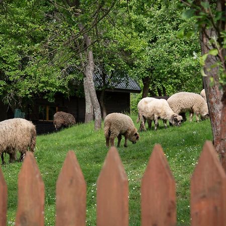 Domek Mysliwski W Gorach Ujsoły Exteriör bild