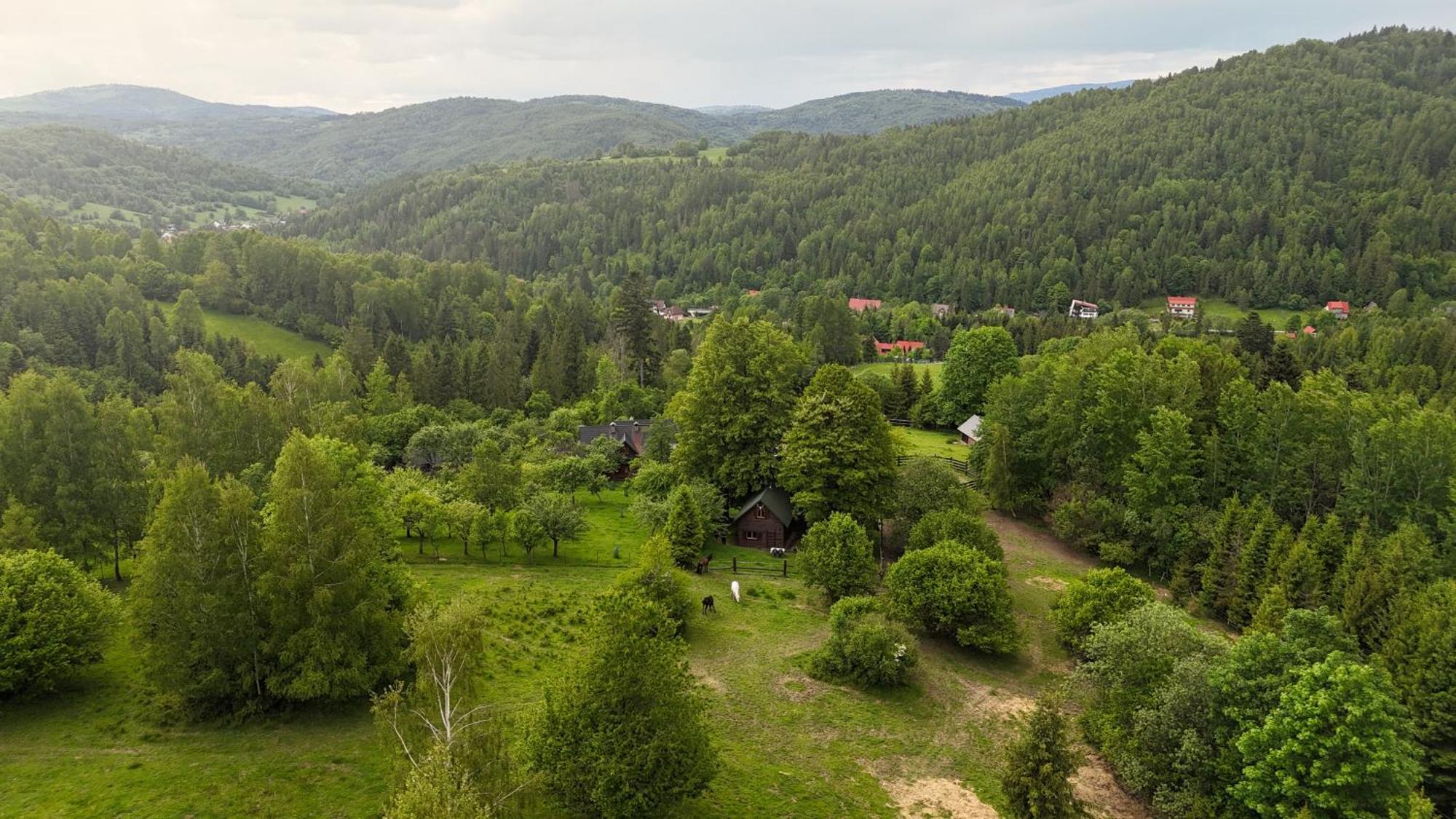 Domek Mysliwski W Gorach Ujsoły Exteriör bild
